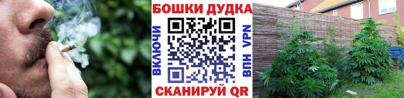 Конопля планчик Ардатов